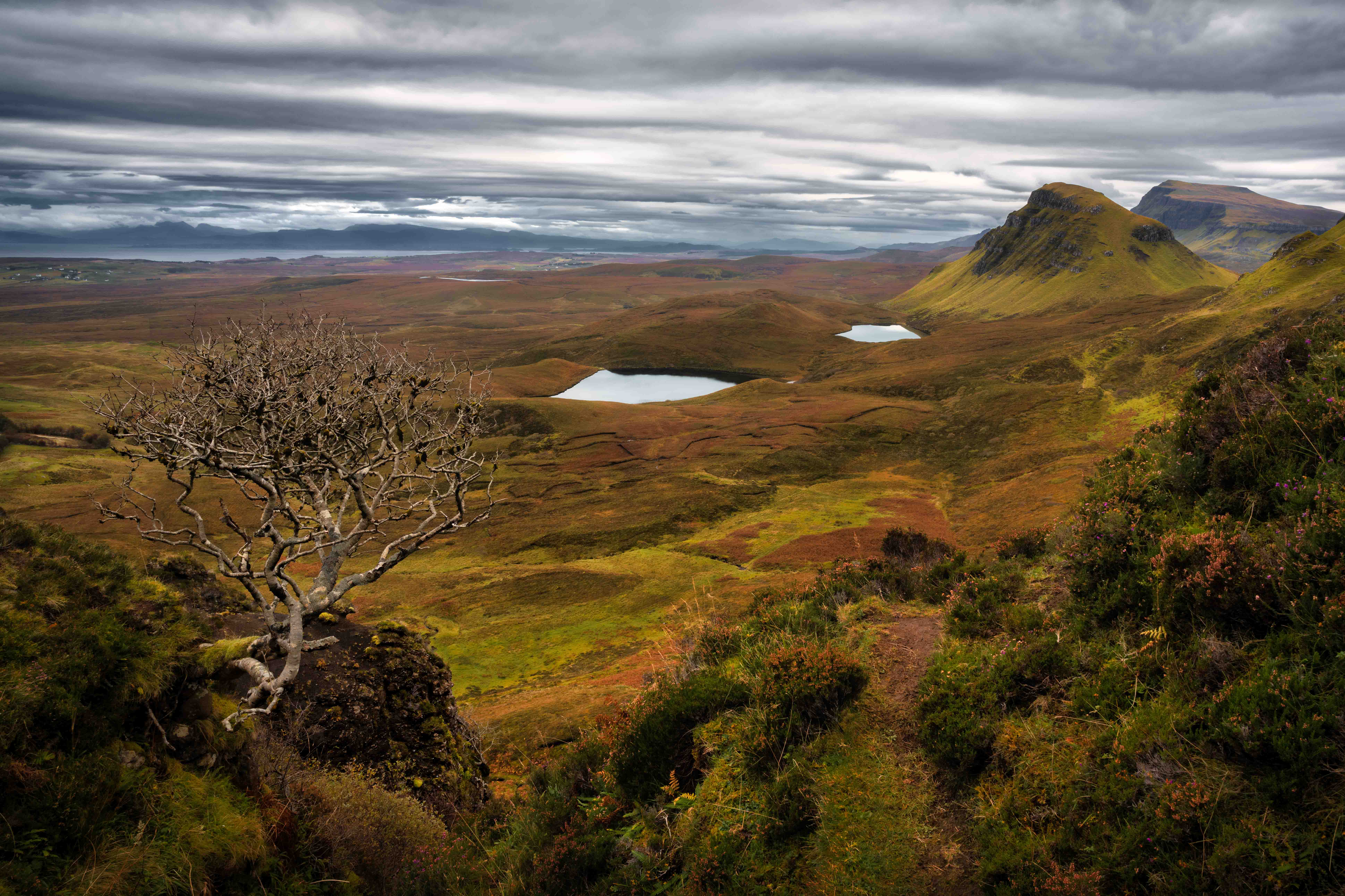 Boompje van Quiraing